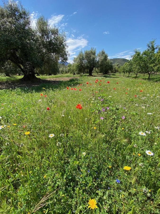 Wonderful Comfortable Finca In The Burga Valley Rasquera Exterior foto
